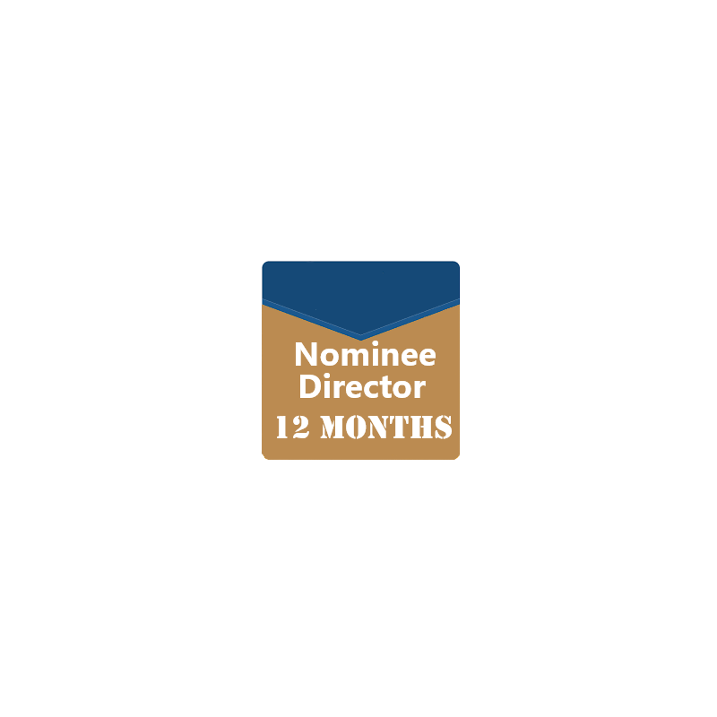 Nominee Director Service for 12 months
